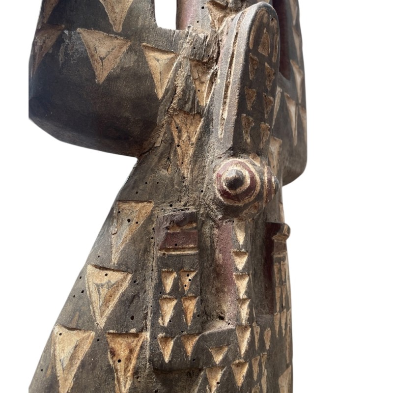 Hand-Carved Moroccan Crocodile Wall Mask
