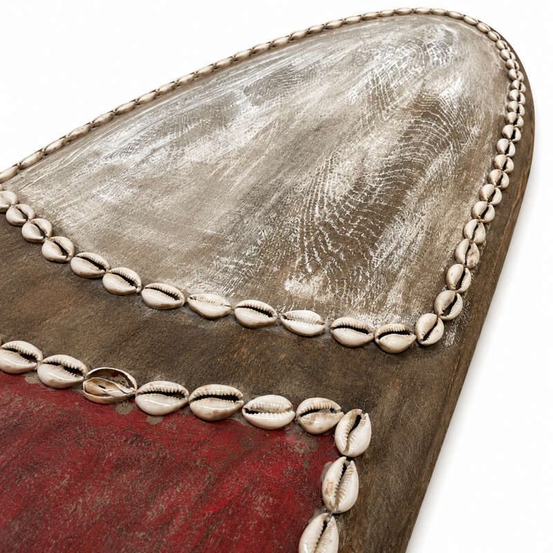 African Ceremonial Shield Wall Decor