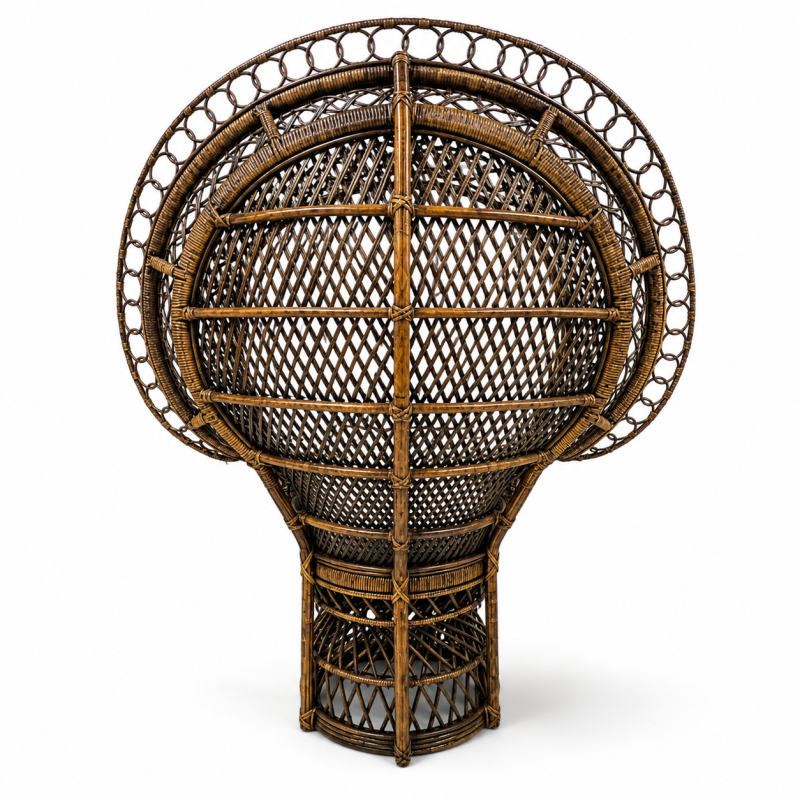 Bohemian Peacock Chair