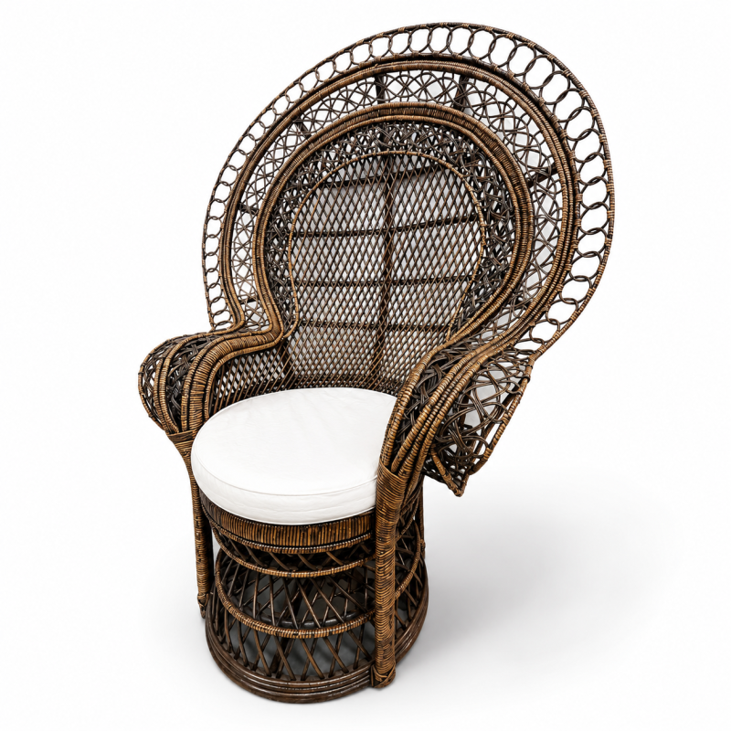 Bohemian Peacock Chair